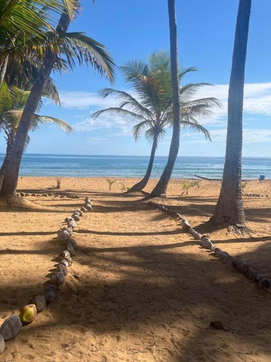 Oceanview Apartment Steps To The Beach Luquillo Exterior photo